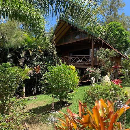 Le Nirvana - Oasis De Tendea - Farino Luaran gambar
